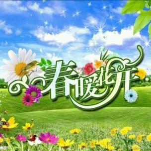 全民k歌有人送一朵花