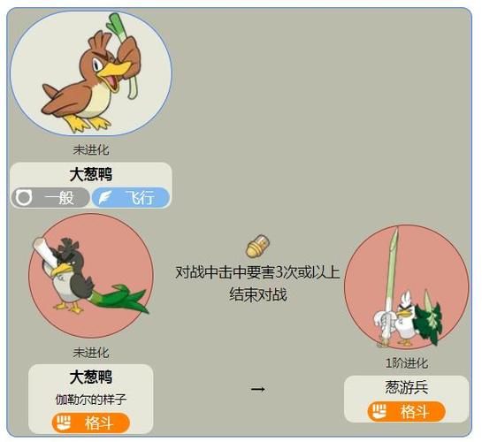 大葱鸭伽勒尔形态进化